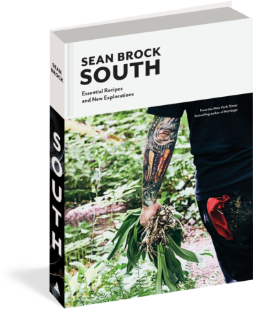 South - 3D Cover